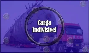 CARGA INDIVISIVEL