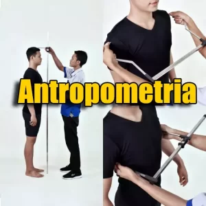 Medidas corporais